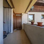Guesthost - Cozy With Terrace - Apartment