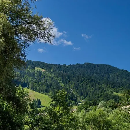 Guesthost - Cozy With Terrace - تارفيسيو